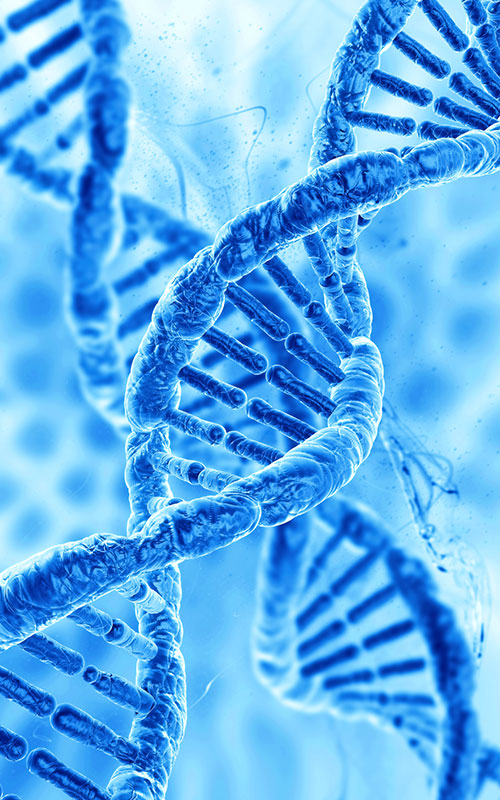 PDRN (полідезоксирибонуклеотид)